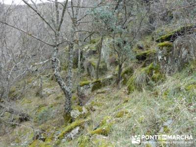 Cascadas del Aljibe;visitas por madrid;agencia senderismo;excursiones de aventura